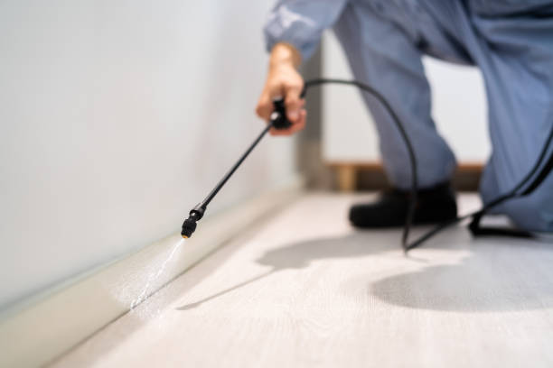 Bed Bug Pre-Treatment Preparation Assessment in Camden