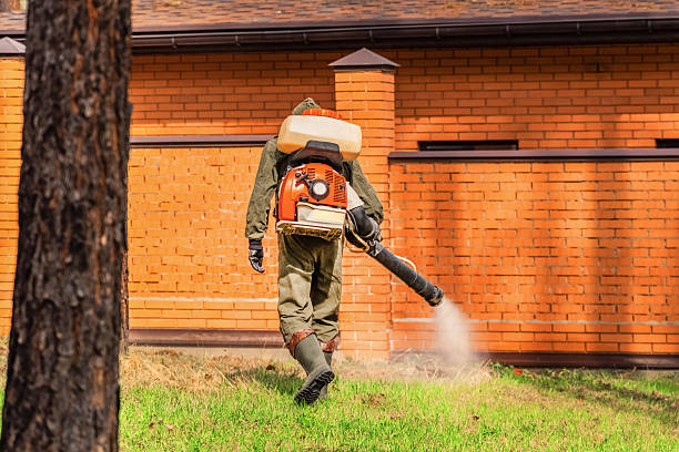 Bed Bug Clearance Verification and Documentation in Camden